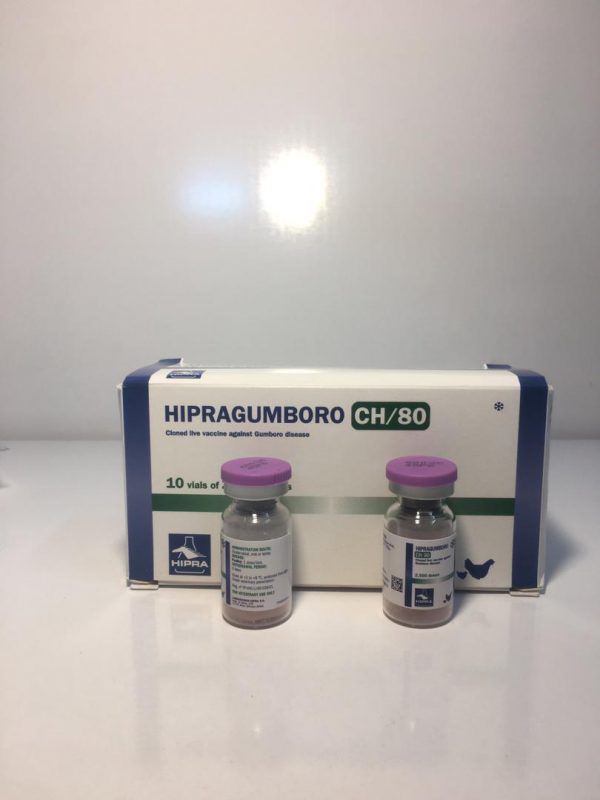HIPRAGUMBORO-CH80 واکسن زنده با حدت متوسط و کلون شده علیه بیماری گامبورو